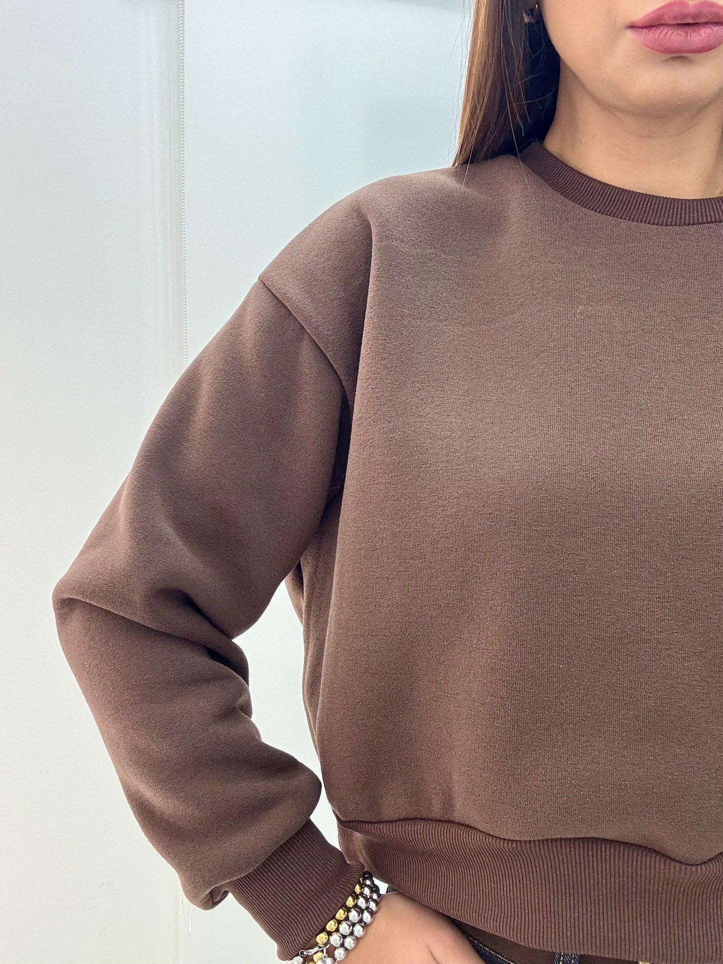 Felpa art.5511 Marrone